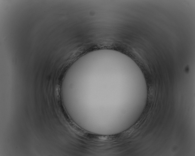 X0000091720130200708241029