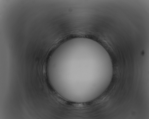 X0000091720131200708241029