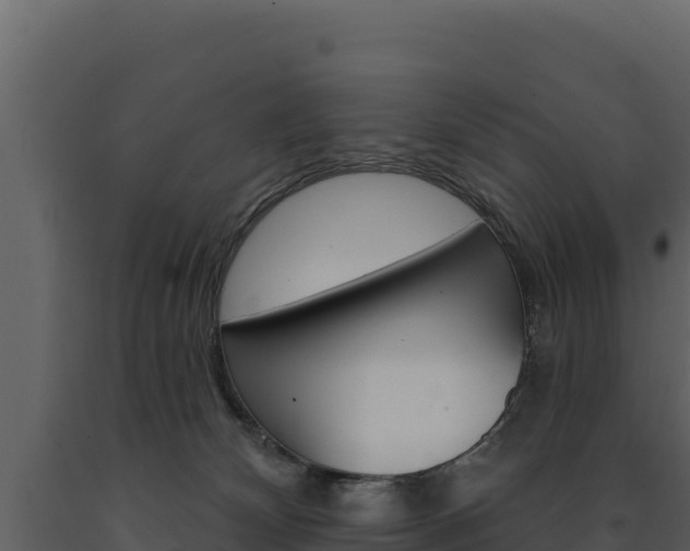 X0000091720132200708241029