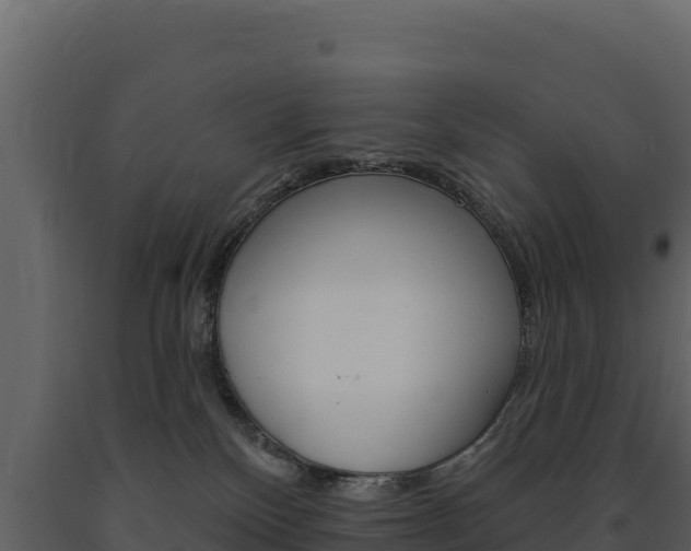 X0000091720136200708241029