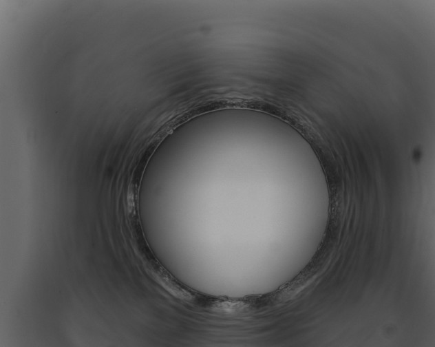 X0000091720137200708241029
