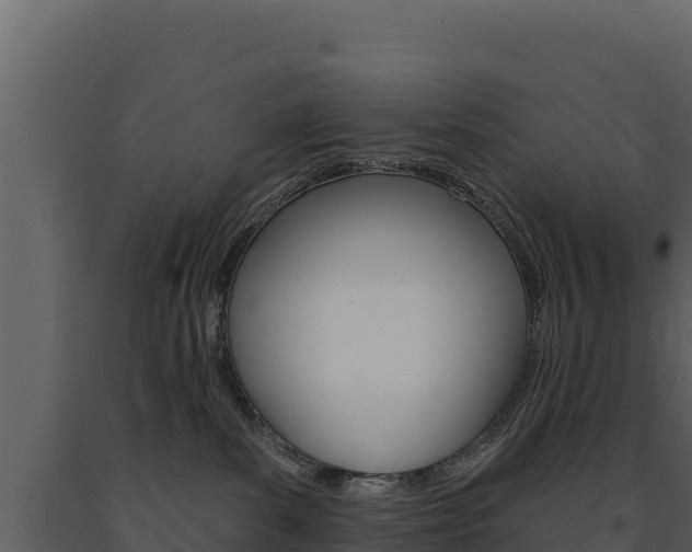 X0000091720139200708241029