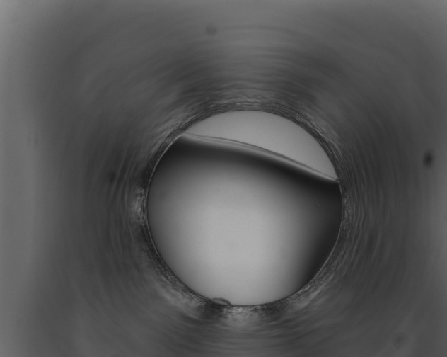 X0000091720141200708241029