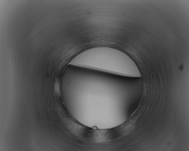 X0000091720143200708241029