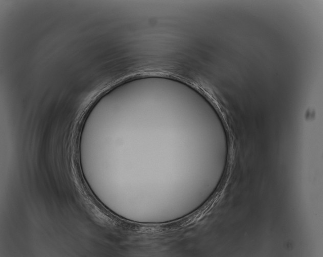 X0000091720145200708241028
