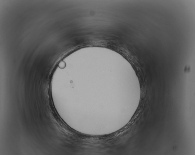 X0000091720146200708241028