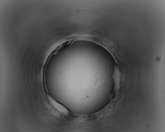 X0000091720148200708241028