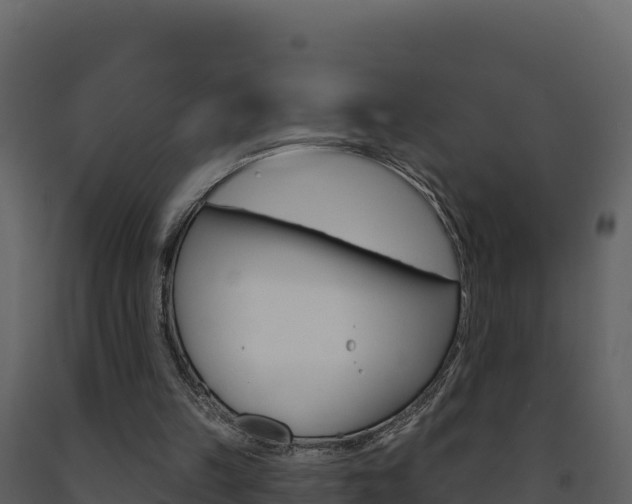 X0000091720149200708241028