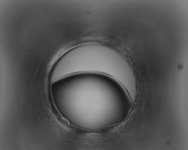 X0000091720150200708241028