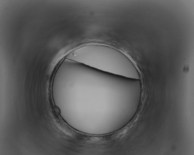 X0000091720151200708241028