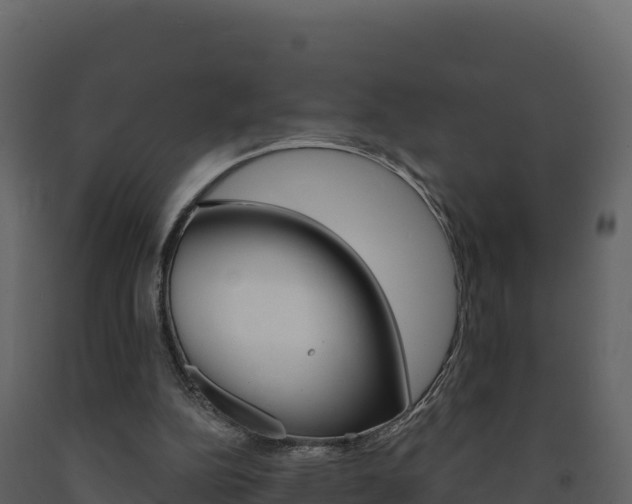 X0000091720152200708241028