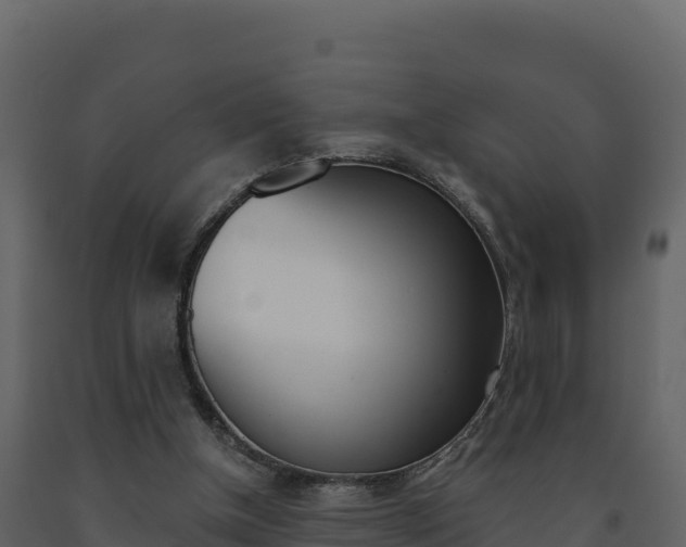 X0000091720154200708241028