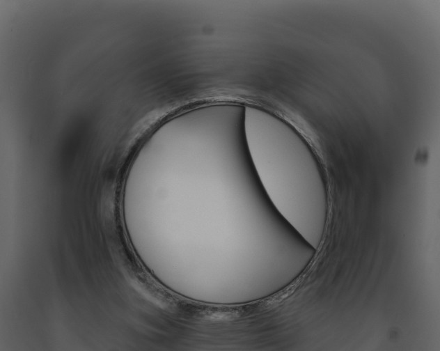 X0000091720155200708241028