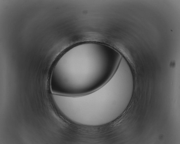 X0000091720156200708241028
