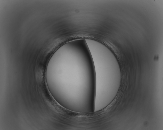 X0000091720158200708241028