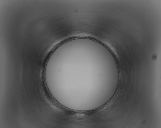 X0000091720159200708241028