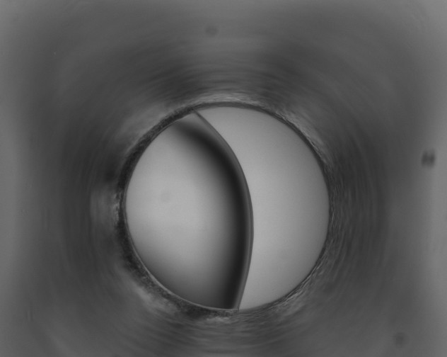 X0000091720160200708241028