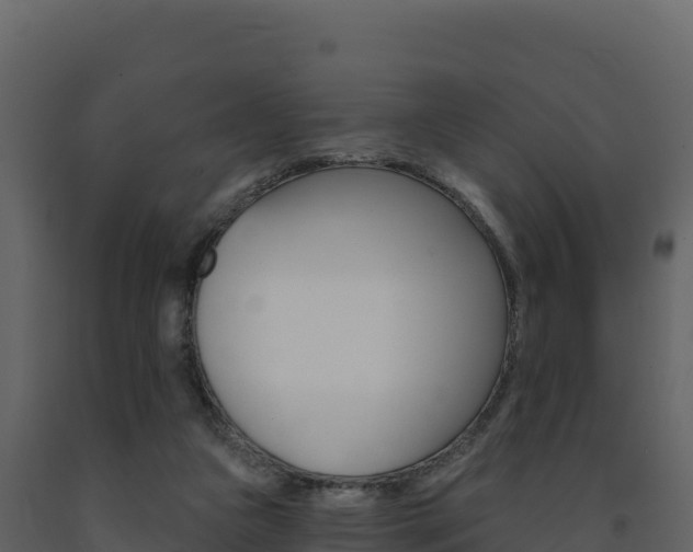 X0000091720161200708241028