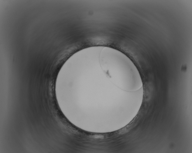 X0000091720162200708241028