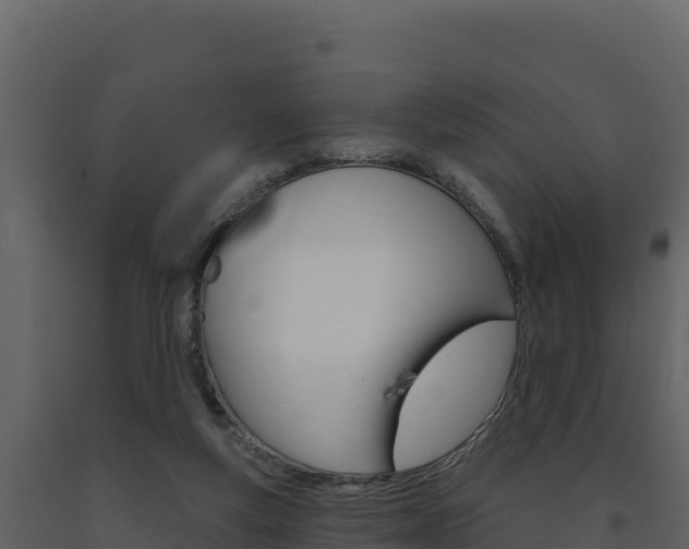 X0000091720163200708241028