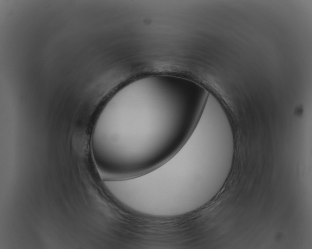 X0000091720164200708241028