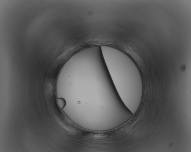 X0000091720165200708241028