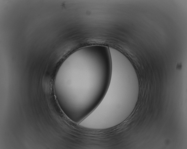 X0000091720168200708241028