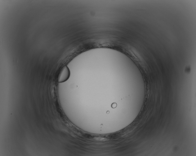 X0000091720169200708241028