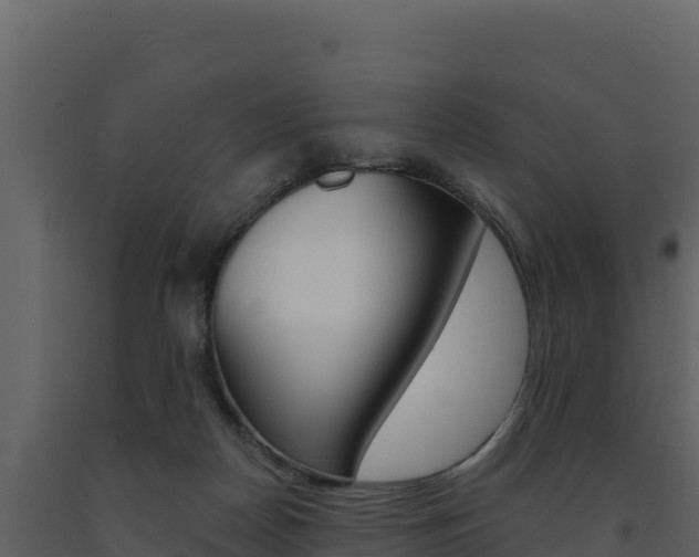 X0000091720170200708241028