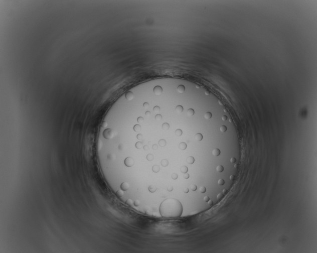 X0000091720171200708241028