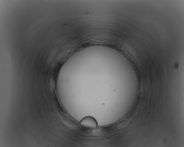 X0000091720173200708241028
