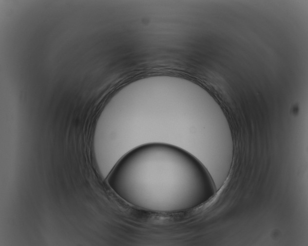 X0000091720174200708241028