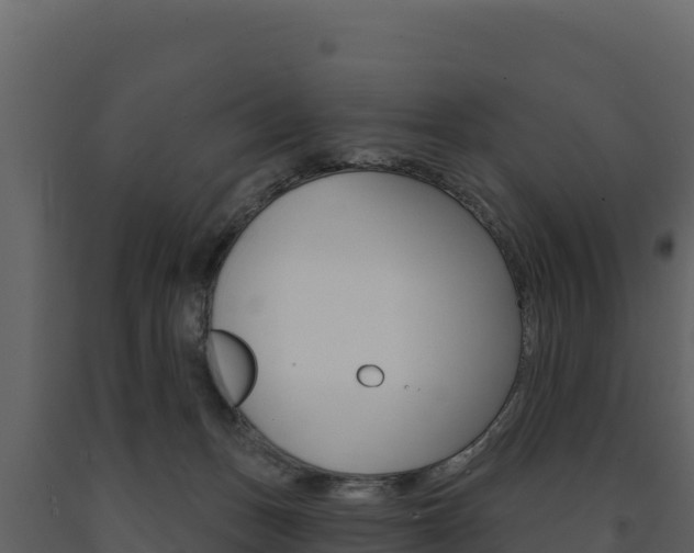 X0000091720175200708241028