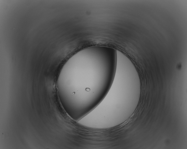 X0000091720176200708241028