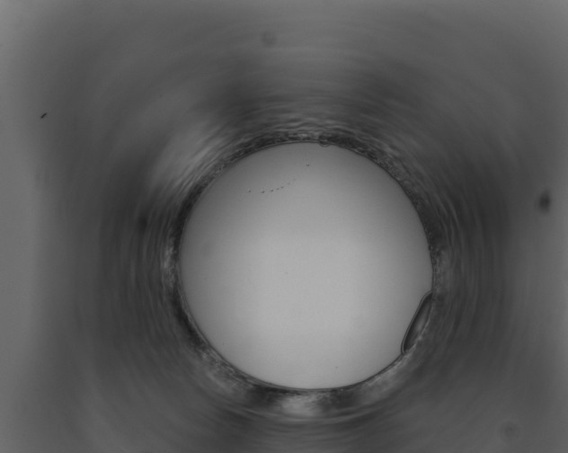 X0000091720178200708241028