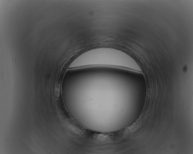 X0000091720180200708241028