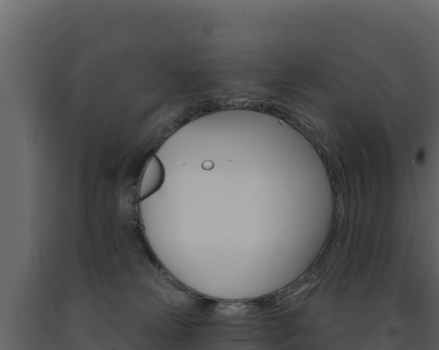 X0000091720181200708241028