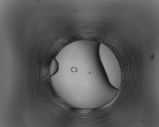 X0000091720182200708241028