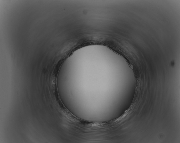 X0000091720184200708241028