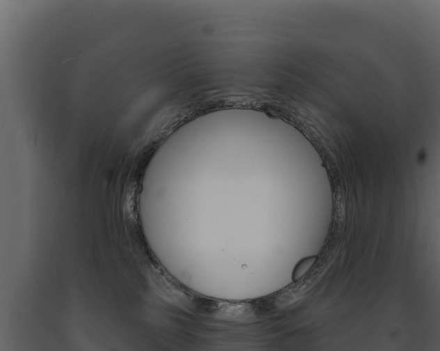 X0000091720185200708241028