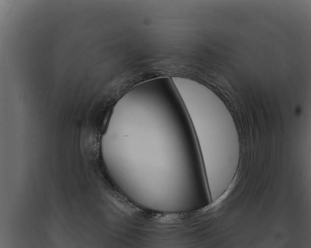 X0000091720186200708241028