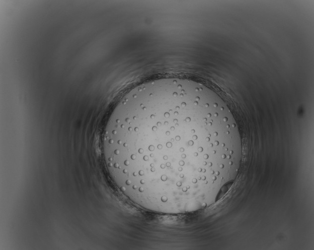 X0000091720187200708241029