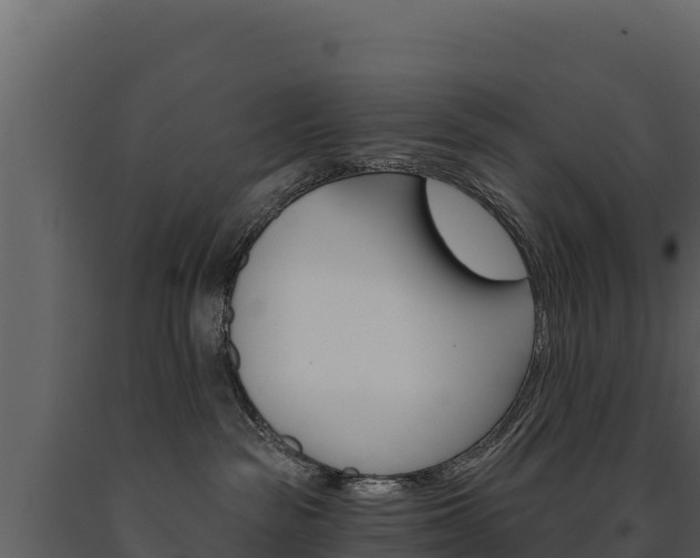 X0000091720189200708241029