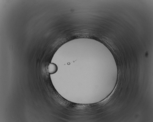 X0000091720190200708241029