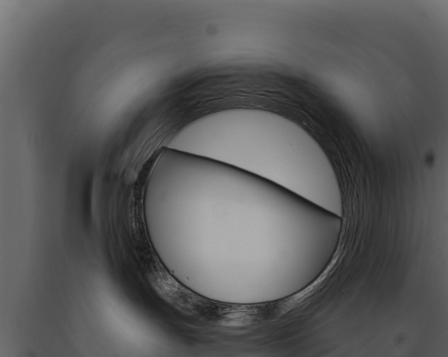 X0000091720191200708241029
