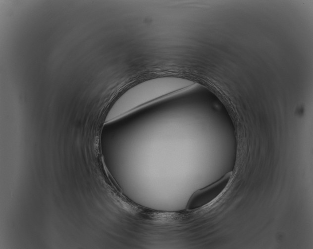 X0000091720192200708241029