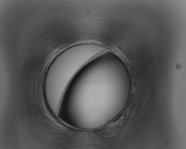 X0000091720193200708241028