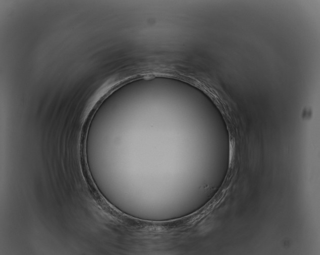 X0000091720195200708241028