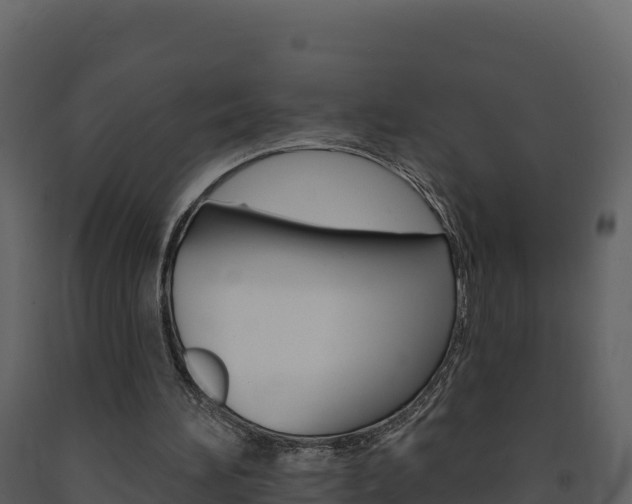 X0000091720196200708241028