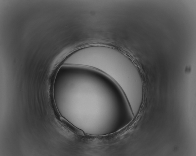 X0000091720197200708241028